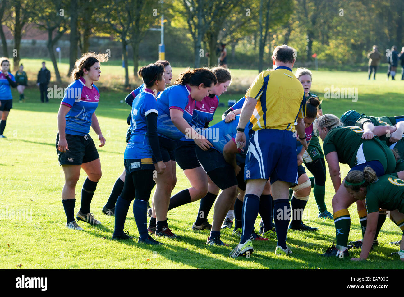 University sport, women`s Rugby Union, UK Stock Photo Alamy